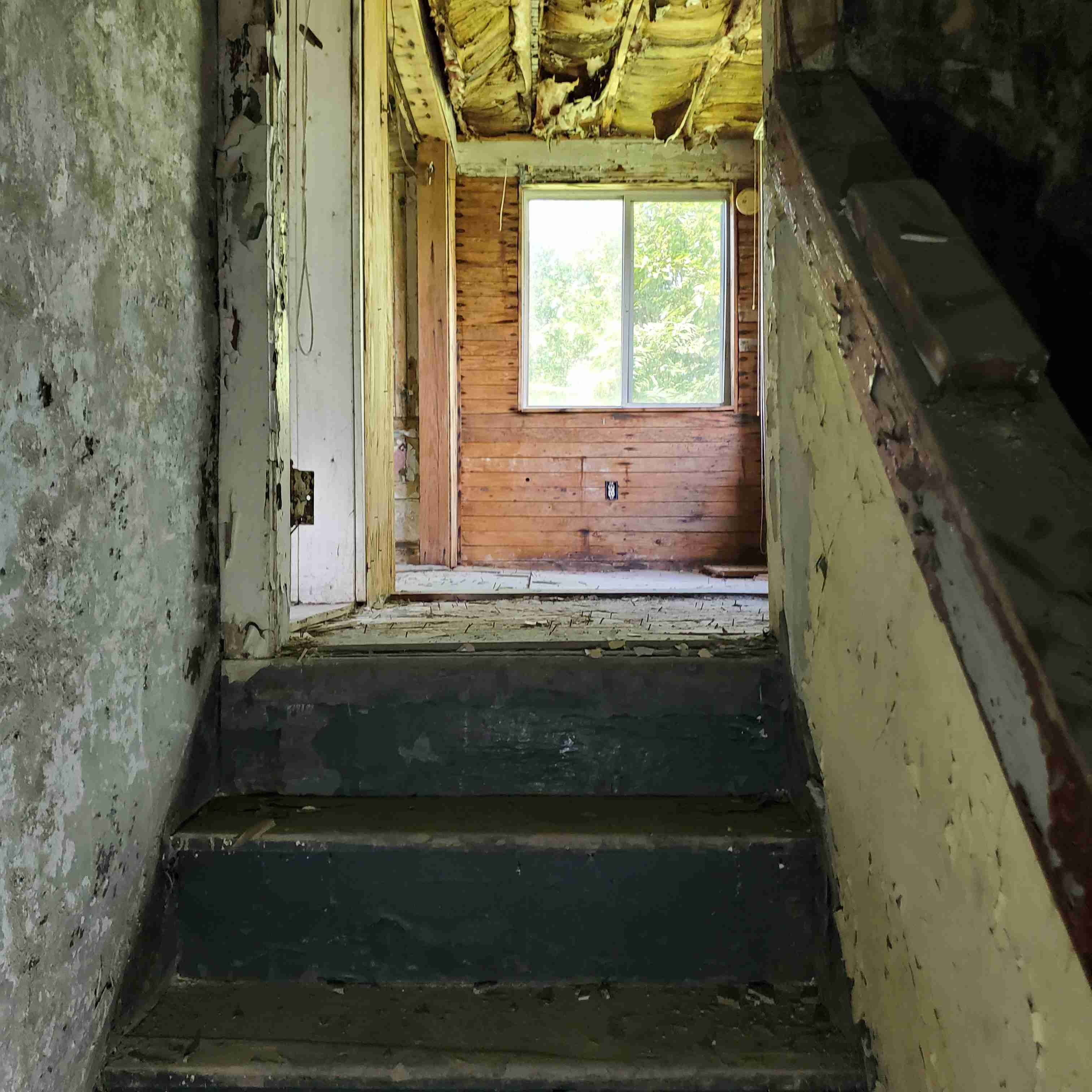 20200812_130238 (2).jpg